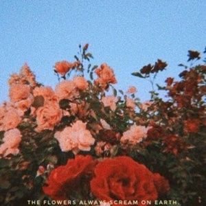 Meet your Posher, Everything about